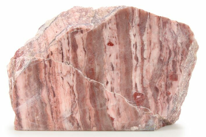 Polished Kona Dolomite (Stromatolite) Section - Michigan #286330